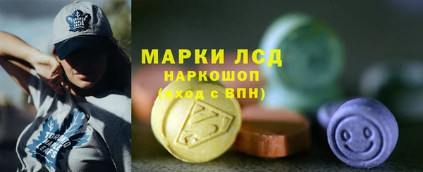 ГАЛЛЮЦИНОГЕННЫЕ ГРИБЫ Лабытнанги
