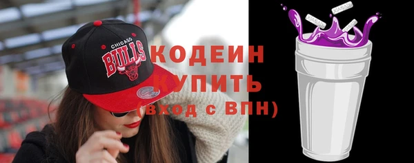 мдпв Ладушкин