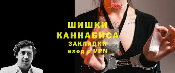 мдпв Ладушкин