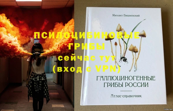 кокс Лагань
