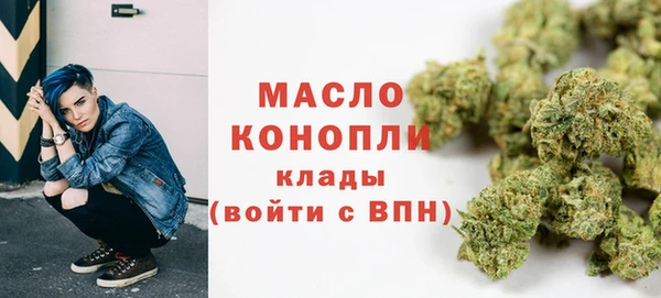 мдпв Ладушкин