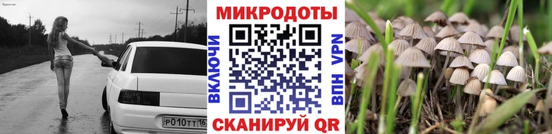 закладка  mega онион  Галлюциногенные грибы Cubensis  Всеволожск 