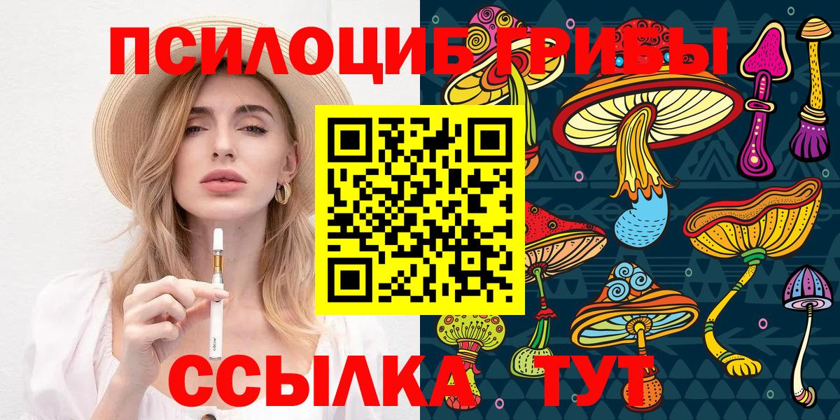 Псилоцибиновые грибы Psilocybe  Псилоцибиновые грибы Psilocybine cubensis  Вход с VPN  Всеволожск 
