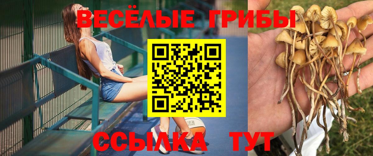 Псилоцибиновые грибы MAGIC MUSHROOMS  Псилоцибиновые грибы мицелий  Всеволожск  Вход с VPN 